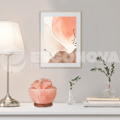 Соляная лампа Ergonova Himalay Stone Vase (Чаша)